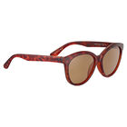 ENDEE, Matte Classic Tortoise-Saturn Polarized Drivers Cat 2 to 3, hi-res image number null